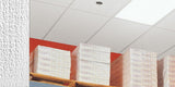 Armstrong Ceilings 24-in x 24-in Shasta Perforated Acoustic Ceiling Tiles, Square Lay-In 15/16-in Grid, 32-Pack, White