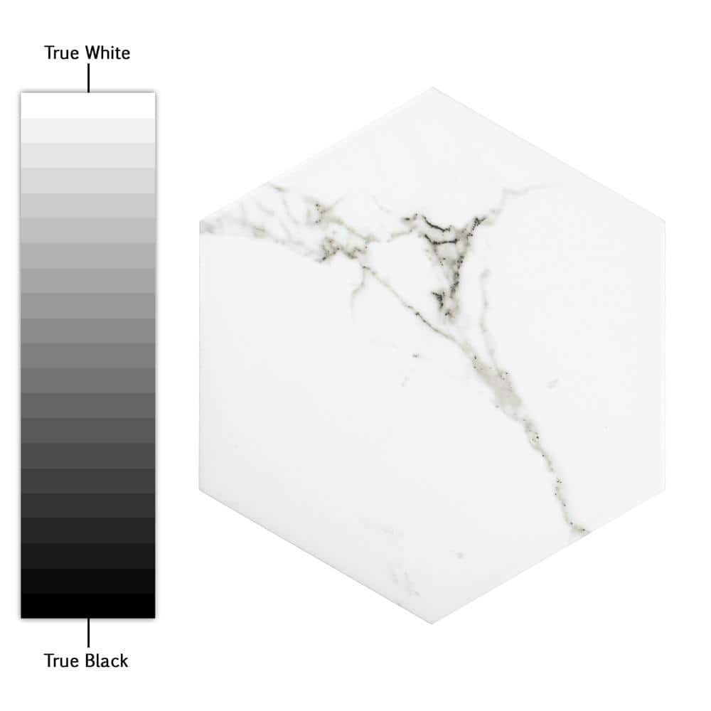 Merola Tile Timeless Calacatta Hex 8-5/8 in. x 9-7/8 in. Porcelain Floor and Wall Tile (11.56 sq. ft. / Case)