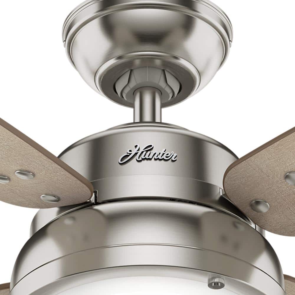 Hunter Wingate 52-in Brushed Nickel LED Indoor Ceiling Fan with Remote, Light Kit, and Reversible 4-Blade