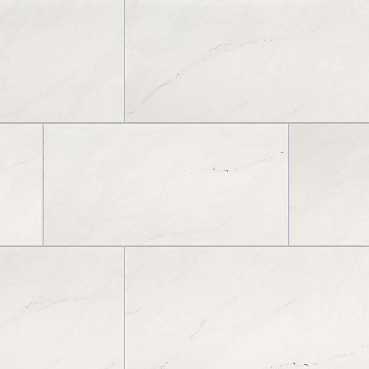 Aria Ice 12 in. x 24 in. Polished Porcelain Floor and Wall Tile (16 sq. ft. / case)
