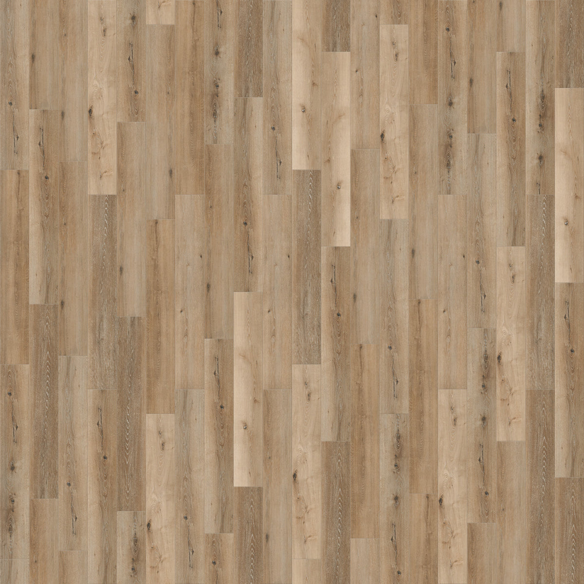 CALI Sample – Cali Vinyl Natural Elm Luxury Vinyl Plank (LVP)