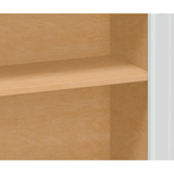 Diamond NOW Arcadia 21-in W x 30-in H x 12-in D TrueColor White Door Wall Stock Cabinet