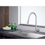 ANZZI Tulip Brushed Nickel 1-Handle Deck-Mount Pull-Out Sprayer Kitchen Faucet, 17.32 in H