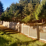 Weatherables Chelsea 4 ft. H x 8 ft. W Khaki Vinyl Picket Fence Panel Kit