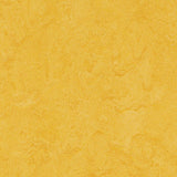 Marmoleum Cinch Loc Seal Lemon Zest 9.8 mm Thick x 11.81 in. Wide X 35.43 in. Length Laminate Floor Tile (20.34 sq. ft/Case)