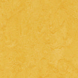 Marmoleum Cinch Loc Seal Lemon Zest 9.8 mm T x 11.81 in. W x 11.81 in. L Laminate Flooring (6.78 sq. ft./case)