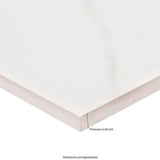 MSI Leonardo Venato 24 in. x 48 in. Polished Porcelain Marble Look Floor and Wall Tile (32 cases/512 sq. ft./pallet)