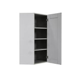 LIFEART CABINETRY Anchester Assembled 24x42x15 in. Wall Diagonal Corner Cabinet with 1 Door 3 Shelves in Light Gray