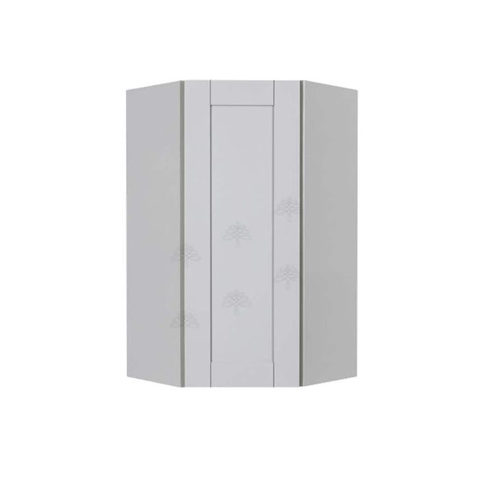 LIFEART CABINETRY Anchester Assembled 24x42x15 in. Wall Diagonal Corner Cabinet with 1 Door 3 Shelves in Light Gray