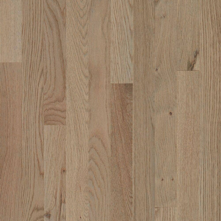 Bruce Plano Low Gloss Taupe Oak 3/4 in. T x 3-1/4 in. W Smooth Solid Hardwood Flooring (22 sq.ft./ctn)