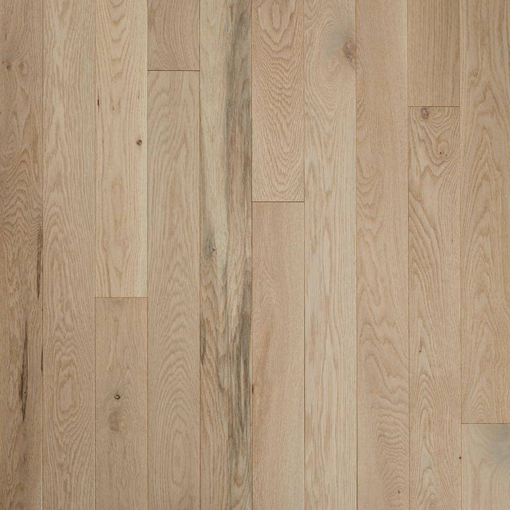 Bruce Plano Low Gloss Taupe Oak 3/4 in. T x 4 in. W Smooth Solid Hardwood Flooring (18.5 sq.ft./ctn)