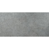 MSI Take Home Tile Sample - Lunar Silver 6 in. x 6 in. Matte Porcelain Paver Tile (0.11 sq. ft.)