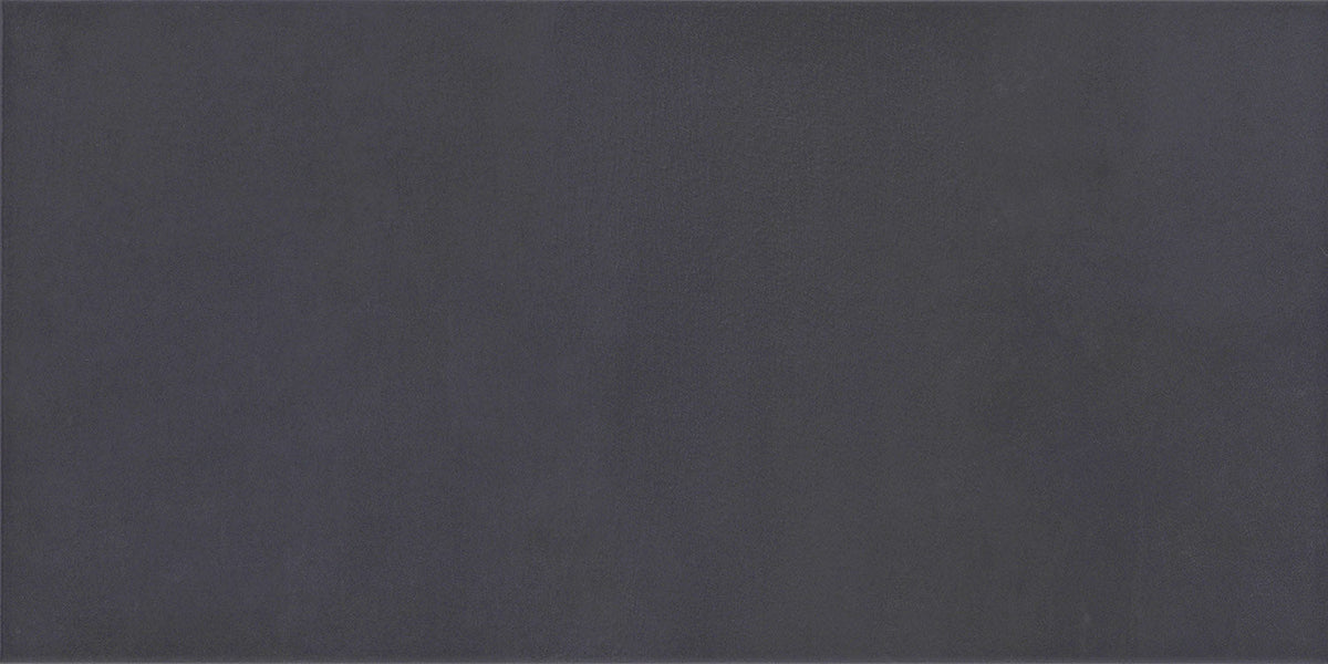 Emser Cosmopolitan Steel 12-in x 24-in Glazed Porcelain Stone-Look Floor and Wall Tile, 6-Pack