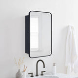TEHOME Garnes 16.5 in. W x 24 in. H Rectangular Recessed or Surface Mount Metal Framed Medicine Cabinet with Mirror in Black