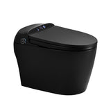 Boosicavelly Elongated Bidet Toilet 1.28 GPF Matte Black with Heated, Deodorizing, Soft Close