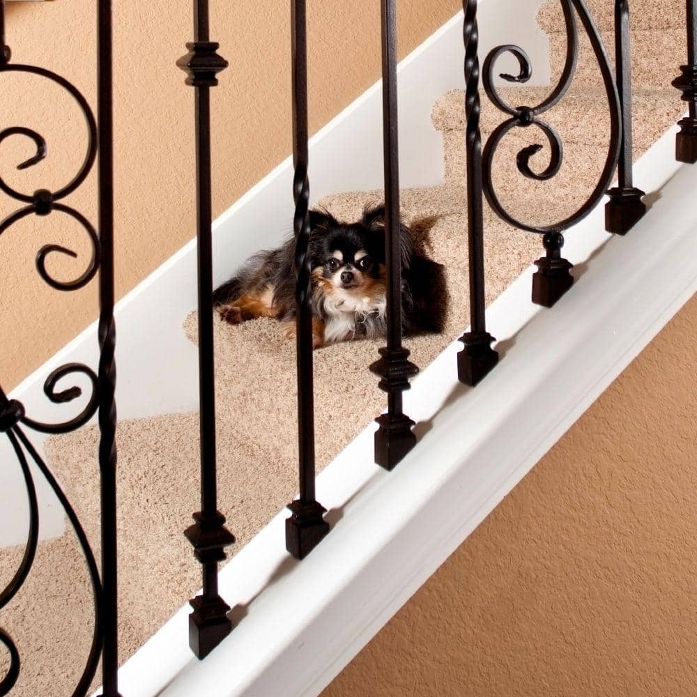 EVERMARK Stair Parts 1/2 in. Matte Black Angled Metal Baluster Shoe for Stair Remodel
