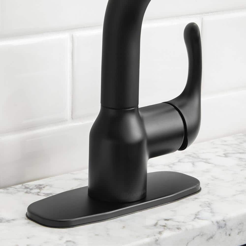 Glacier Bay Dunning Matte Black Pull-Out Laundry Faucet with Dual Spray Function