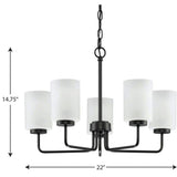 Progress Lighting Merry 5-Light Matte Black Etched Glass Transitional Chandelier Light
