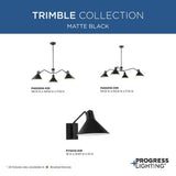 Progress Lighting Trimble Collection 4-Light Matte Black Chandelier
