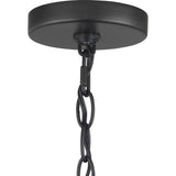 Progress Lighting Zombra 24 in. 5-Light Matte Black Chandelier
