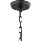 Progress Lighting Vertex Collection 5-Light Matte Black Etched White Contemporary Chandelier