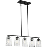 Progress Lighting Mauzy Collection 5-Light Matte Black Transitional Linear Chandelier with Clear Water Glass Shade for Dining Room
