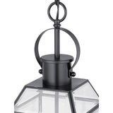 Progress Lighting Canton Heights 2-Light Matte Black Outdoor Pendant Light with Clear Beveled Glass, 7.375 in W x 19.5 in H