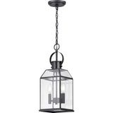 Progress Lighting Canton Heights 2-Light Matte Black Outdoor Pendant Light with Clear Beveled Glass, 7.375 in W x 19.5 in H