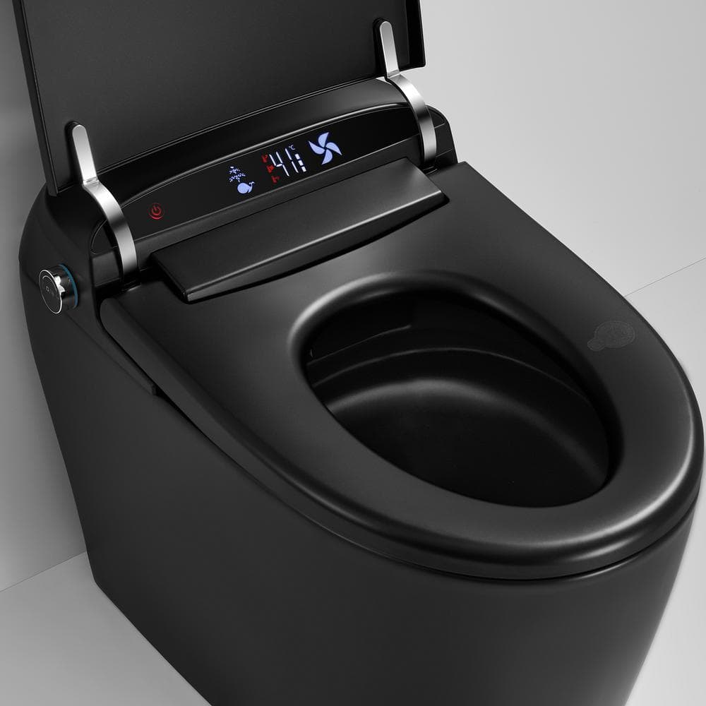 Staykiwi Matte Black Elongated Bidet Toilet 1.28 GPF with Adjustable Sprayer, Deodorizing, Soft Close