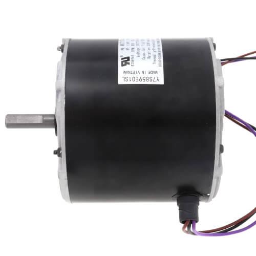 Trane MOT17346 motor - detail view (Voltage: 200/230v; Product Type: Motor)