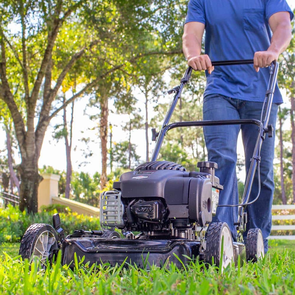 Murray 20 in. 125 cc Briggs & Stratton Walk Behind Gas Push Lawn Mower with 4 Wheel Height Adjustment and Prime 'N Pull Start