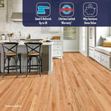 Bruce American Originals Natural Red Oak 3/4 in. T x 3-1/4 in. W Smooth Solid Hardwood Flooring (22 sq.ft./ctn)