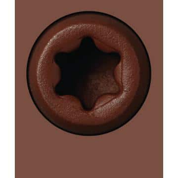 NewTechWood 10 x 2 3/4 in. Peruvian Teak Star Drive Flat Undercut Epoxy Color Match Deck Screws (100-Pieces)
