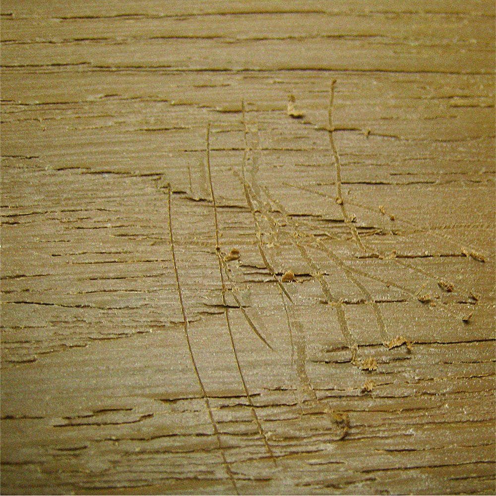 NewTechWood DeScratch Composite Decking Repair Kit in Spanish Walnut