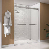 NTQ 60 in. W x 79 in. H Soft Close Double Sliding Bypass Frameless Glass Shower Door in Brushed Nickel 3/8 in. Clear Glass