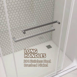 NTQ 60 in. W x 79 in. H Soft Close Double Sliding Bypass Frameless Glass Shower Door in Brushed Nickel 3/8 in. Clear Glass