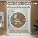 NTQ 60 in. W x 79 in. H Soft Close Double Sliding Bypass Frameless Glass Shower Door in Brushed Nickel 3/8 in. Clear Glass