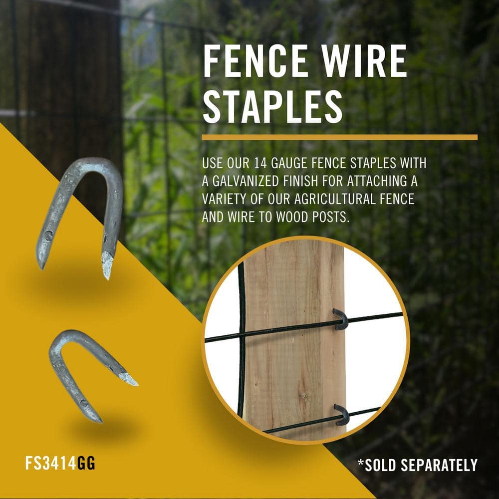 NUVO IRON Welded Wire Fence Mesh 2 ft. x 25 ft., Square Mesh, Hot Dipped Galvanized
