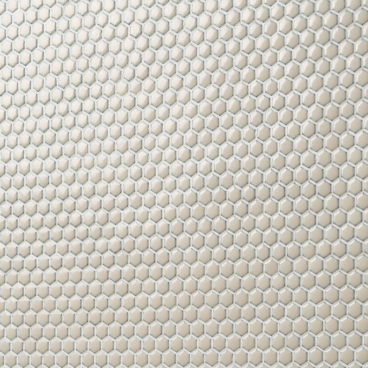 Eden Latte Beige Rimmed Hexagon Polished Porcelain Mosaic Tile