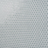 Eden Modern Gray Rimmed 1" Hexagon Polished Porcelain Mosaic Tile