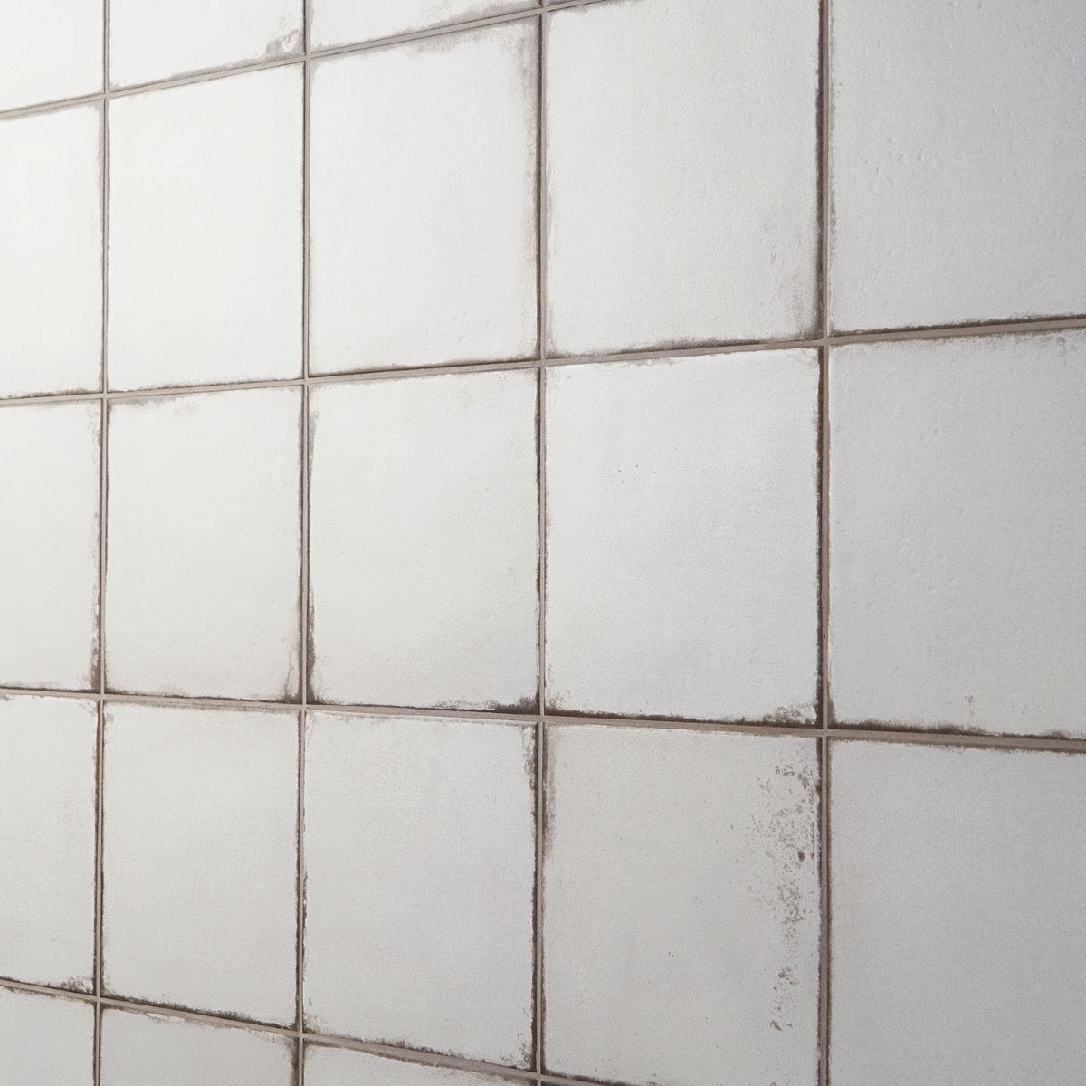 Los Lunas White 8x8 Matte Porcelain Tile - Tilebar