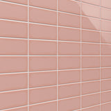 Tilebar Park Hill Pink 3x6 Polished Porcelain Subway Tile