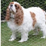 PEAK 25 ft. L x 24 in. H Galvanized Steel Hexagonal Wire Netting with 1 in. x 1 in. Mesh Size Garden Fence