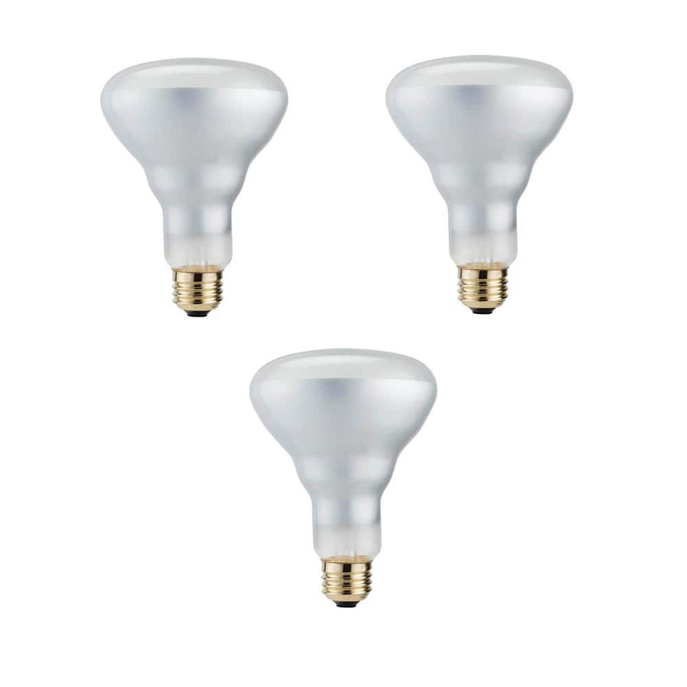 Philips 50-Watt Equivalent Halogen BR30 Dimmable Flood Light Bulb (3-Pack)