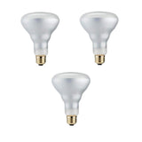 Philips 50-Watt Equivalent Halogen BR30 Dimmable Flood Light Bulb (3-Pack)