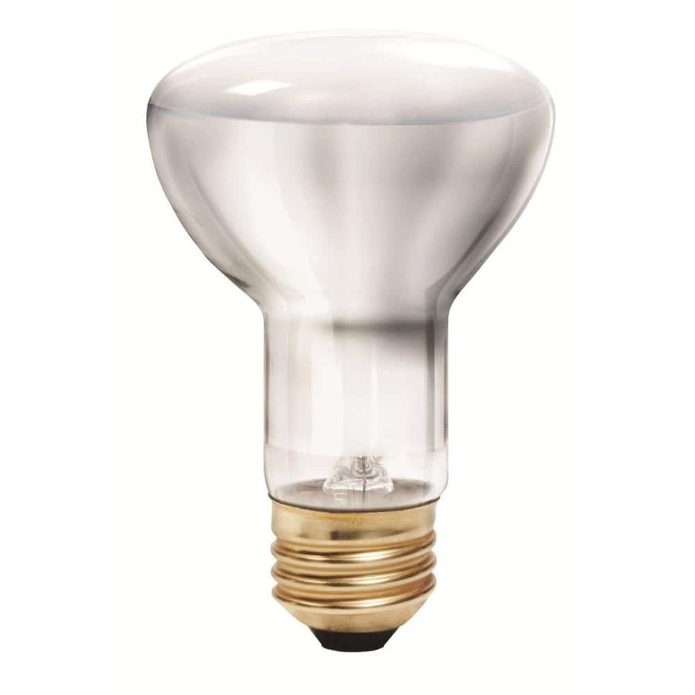 Philips 35-Watt Equivalent R20 Halogen Flood Light Bulb (6-Pack)