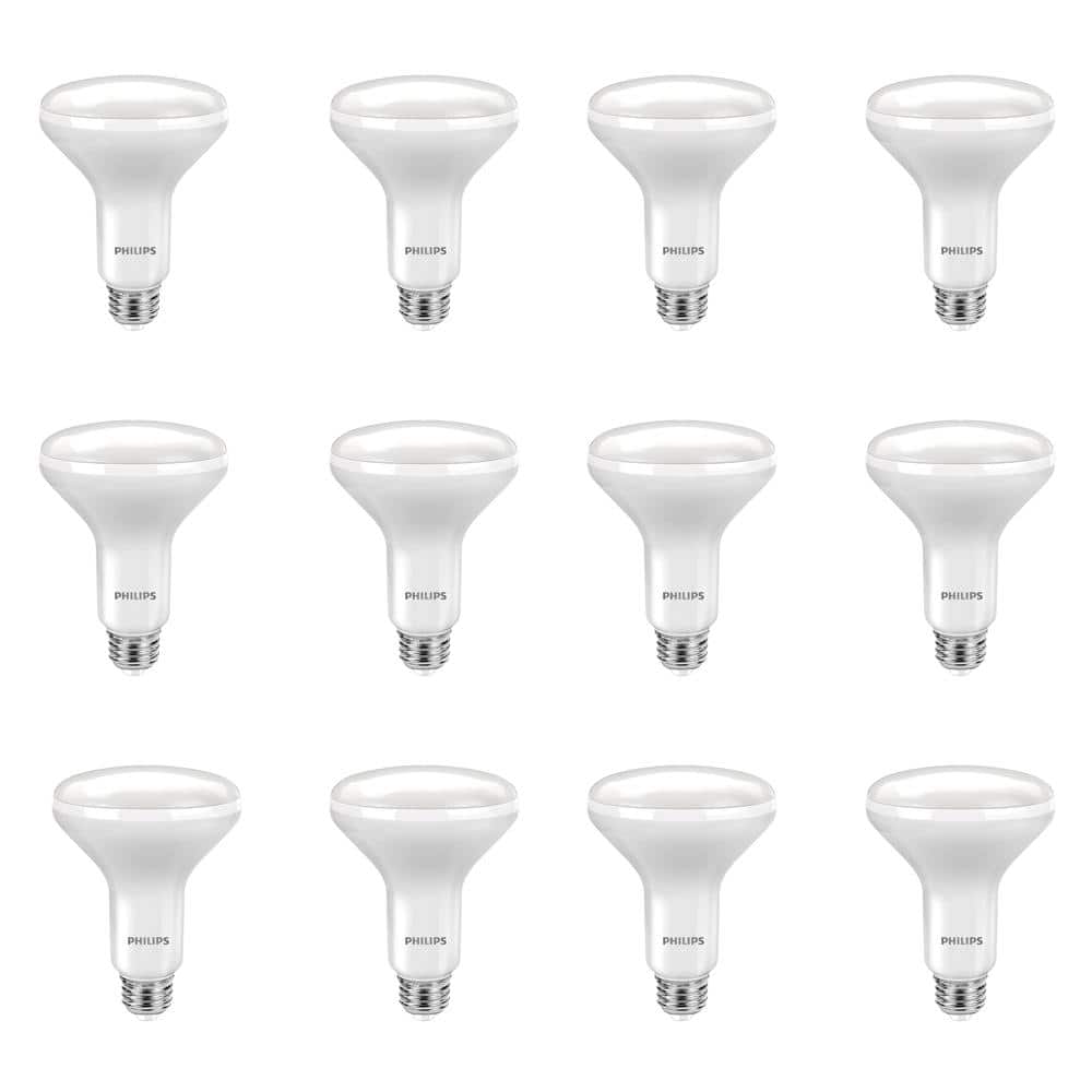 Philips 65W Equivalent Daylight BR30 Dimmable LED Flood Light Bulb (12-Pack)
