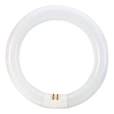 Philips 22-Watt 8 in. Linear T9 Fluorescent Tube Light Bulb, Cool White 4100K, Circline