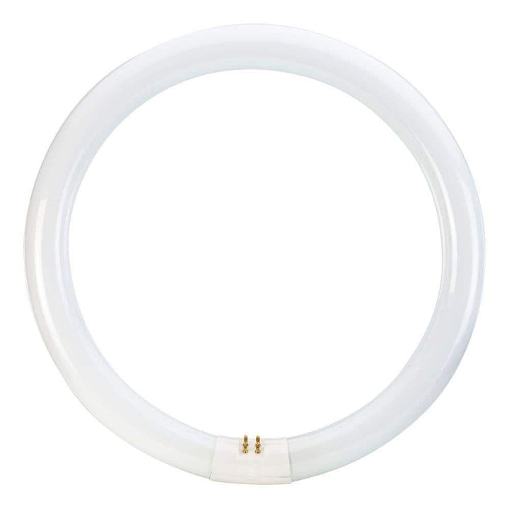 Philips 32-Watt 12 in. Linear T9 Circline Fluorescent Tube Light Bulb, Bright White 3000K