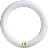 Philips 22-Watt 8 in. Linear T9 Fluorescent Tube Light Bulb, Daylight Deluxe 6500K, Circline
